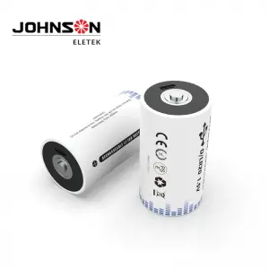USB Rechargeable D battery 1.5V Type-C Port Charging USB Quick Charge Batteries Pack