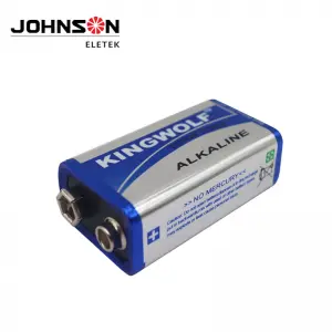 6LR61 9V Alkaline Battery, Disposable Battery for Smoke Alarms, Guitar Pickups, Microphones and More